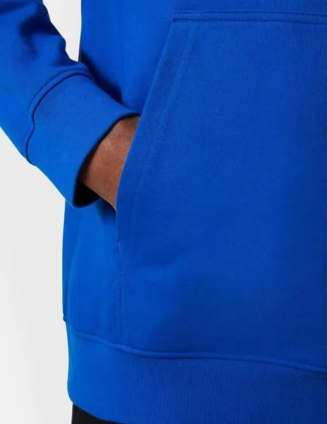 Sudadera Helly Hansen Core Graphic Hoodie azul para hombre